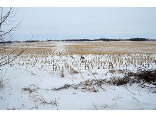 Property photo 16 - AUCTION, 206 Contiguous Acres offered in 5 Tracts